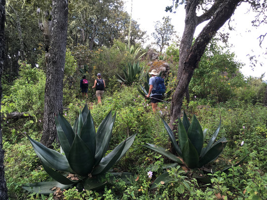 Zapotrek-瓦哈卡必去景点