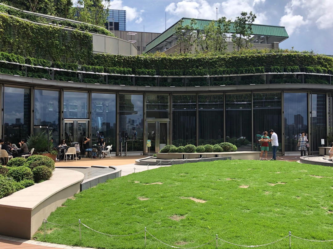 Park View Garden