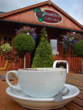 Poplar Tree Garden Centre & Coffee Shop-达勒姆必去景点