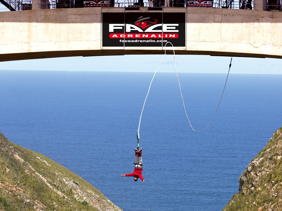 Bloukrans Bungy - Face Adrenalin-Tsitsikamma National Park必去景点