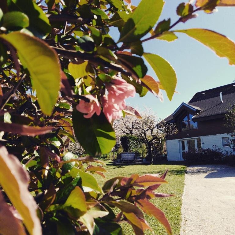 Chalet La Bachole 38-浴室