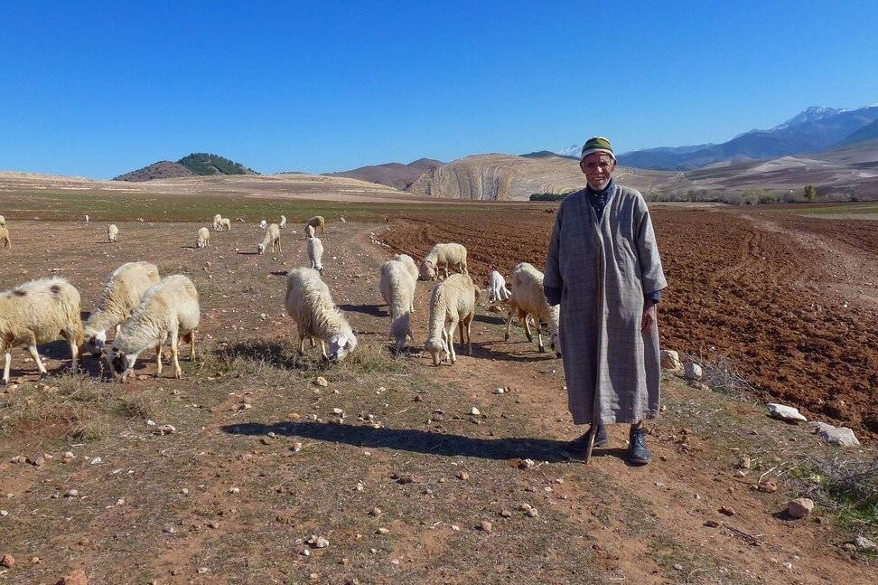 Marrakesh Day Tour-Agafay必去景点