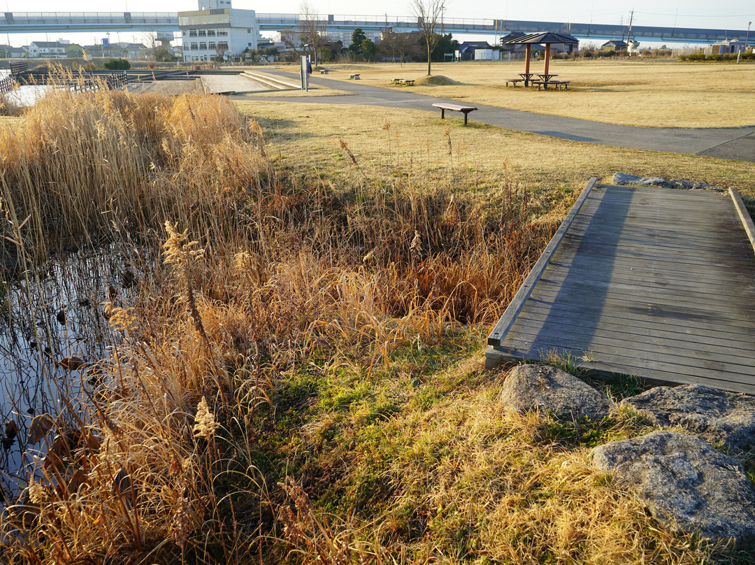 Ushikunumamizube Park景点图片