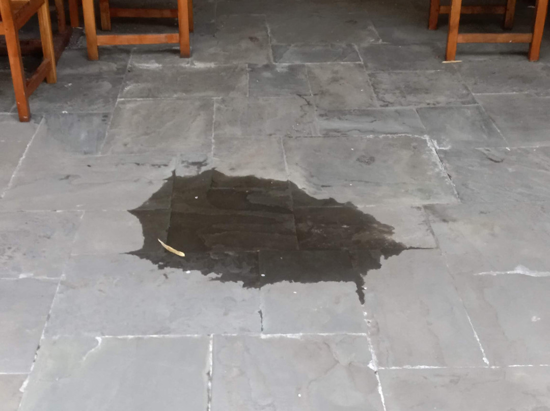 蒂布龙小屋酒店主图