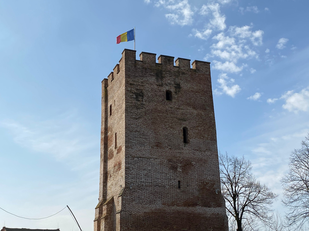 Ciacova Tower-Ciacova必去景点