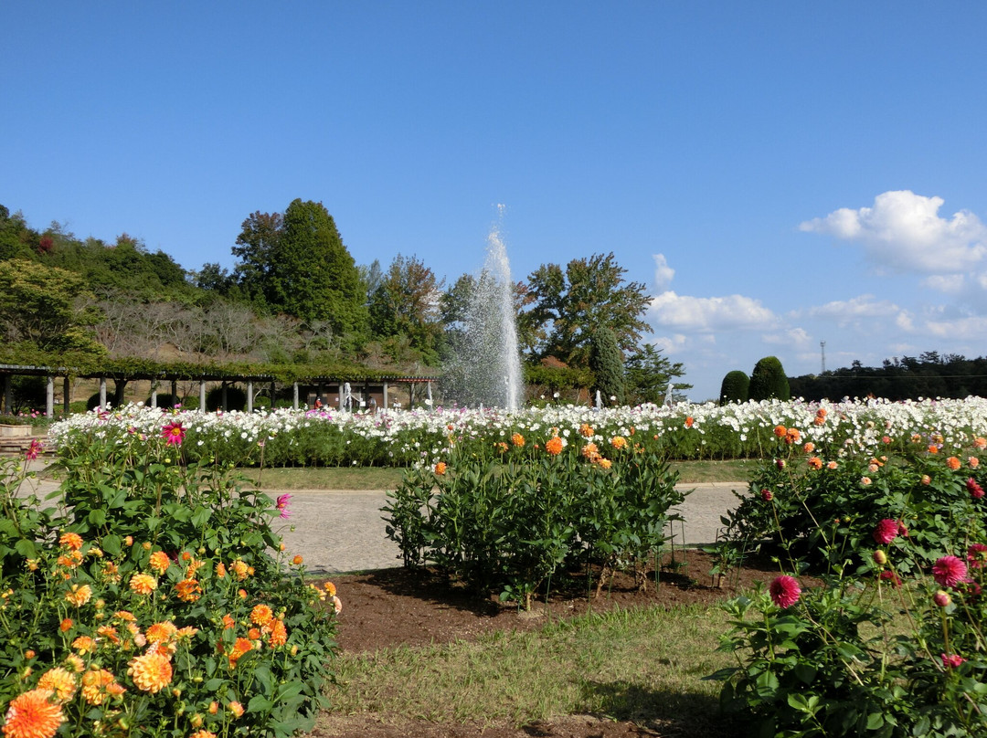Hyogo Prefectural Flower Center-加西市必去景点