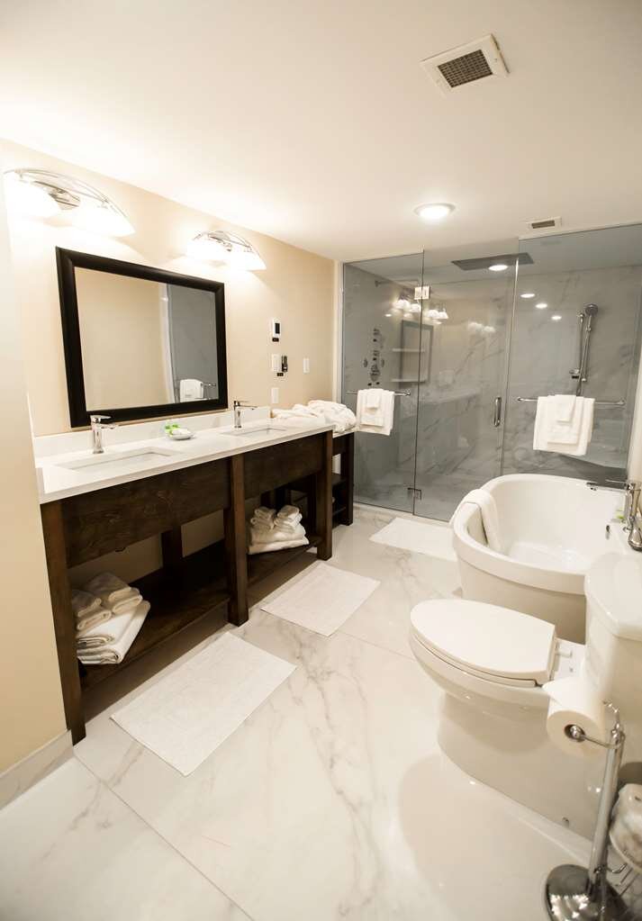 Best Western Plus Dryden Hotel & Conference Centre-官方