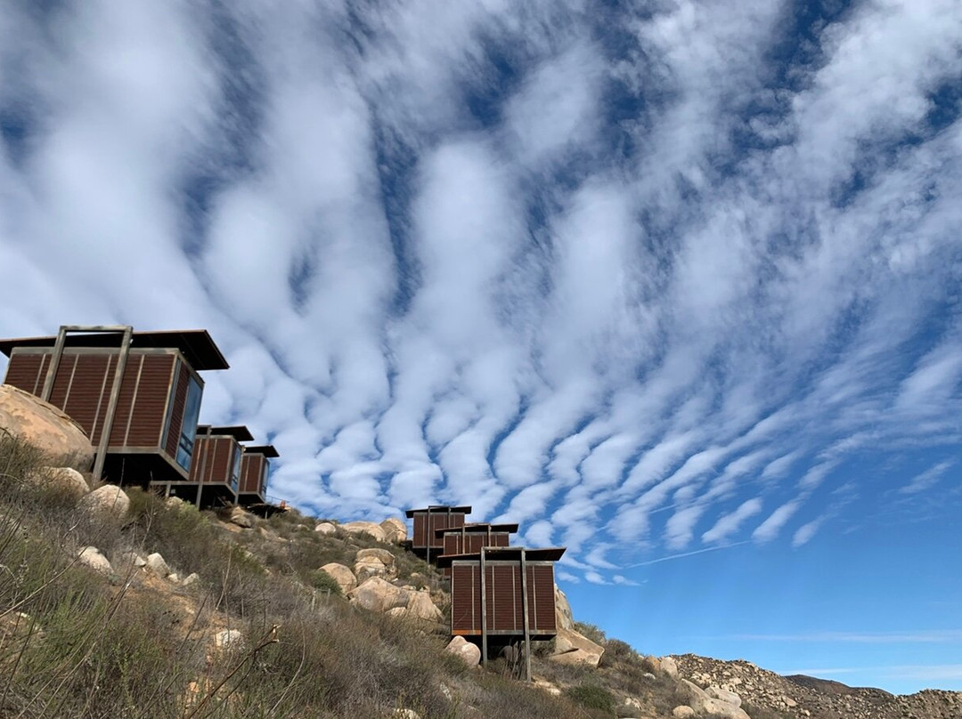 Encuentro Guadalupe主图