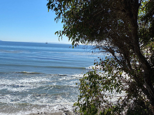 Coronado Butterfly Preserve-戈利塔必去景点