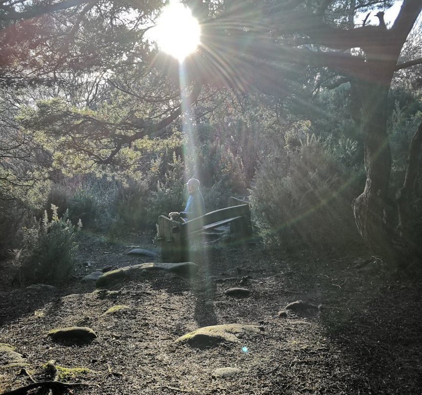 Caldy Hills-West Kirby必去景点