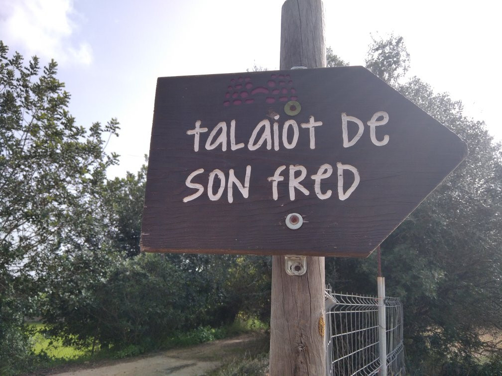 Talaiot De "son Fret" Sencelles Mallorca景点图片