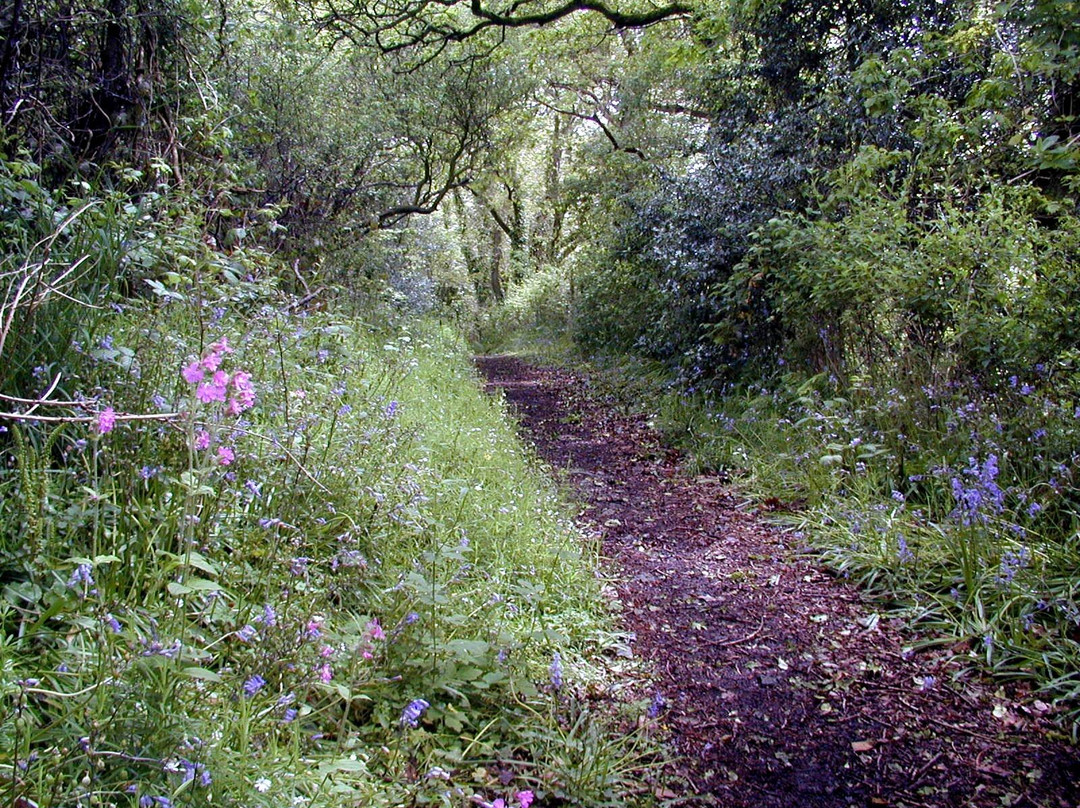 Drefach Velindre Walk景点图片
