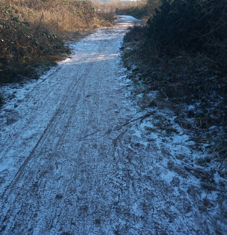 Attenborough Nature Centre景点图片