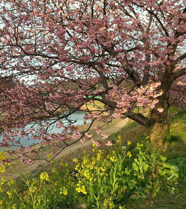 Minami-Izu Town Tourist Association Tourist Information Center景点图片