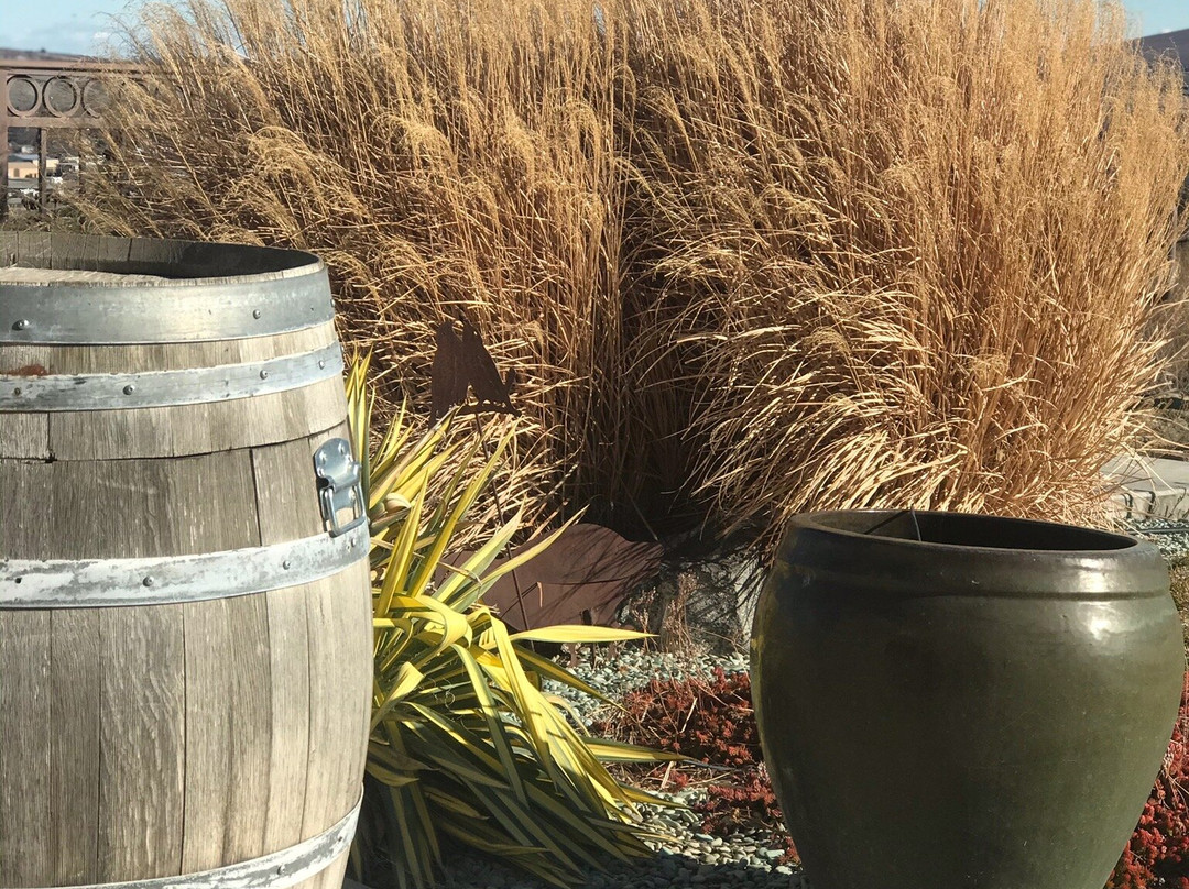 Chandler Reach Estate Vineyard & Winery景点图片
