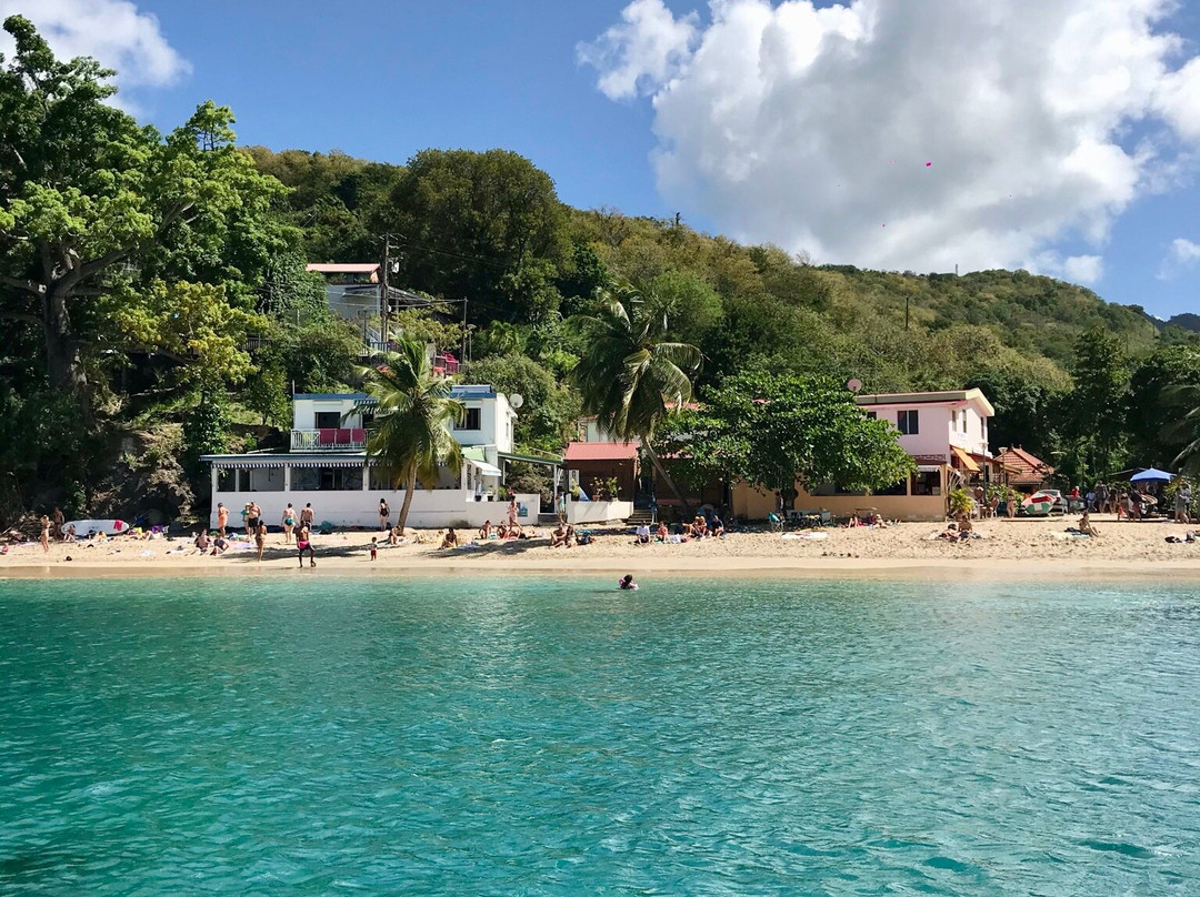 Martinique Plongée - Snorkeling - Chasse - Apnée-Trois-Ilets必去景点