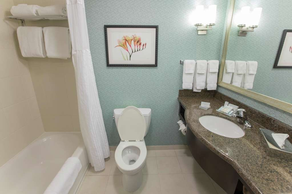 亚特兰大南麦克多诺希尔顿花园酒店主图