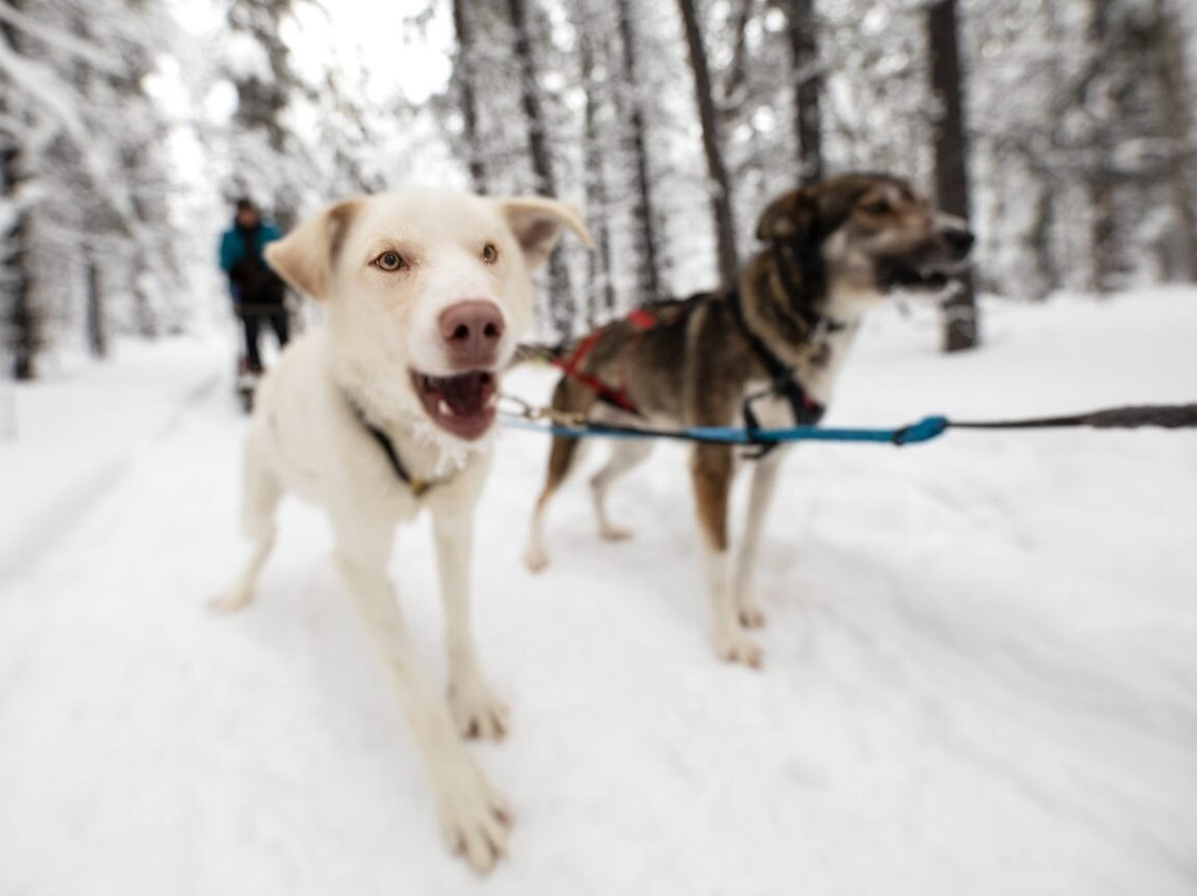 Atlin Backcountry Adventures-Atlin必去景点