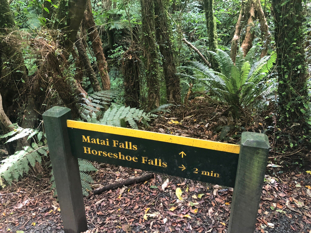 Matai Falls Walk景点图片