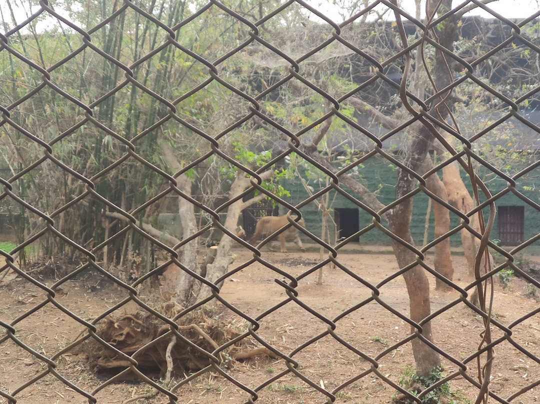 Nandankanan Zoological Park景点图片