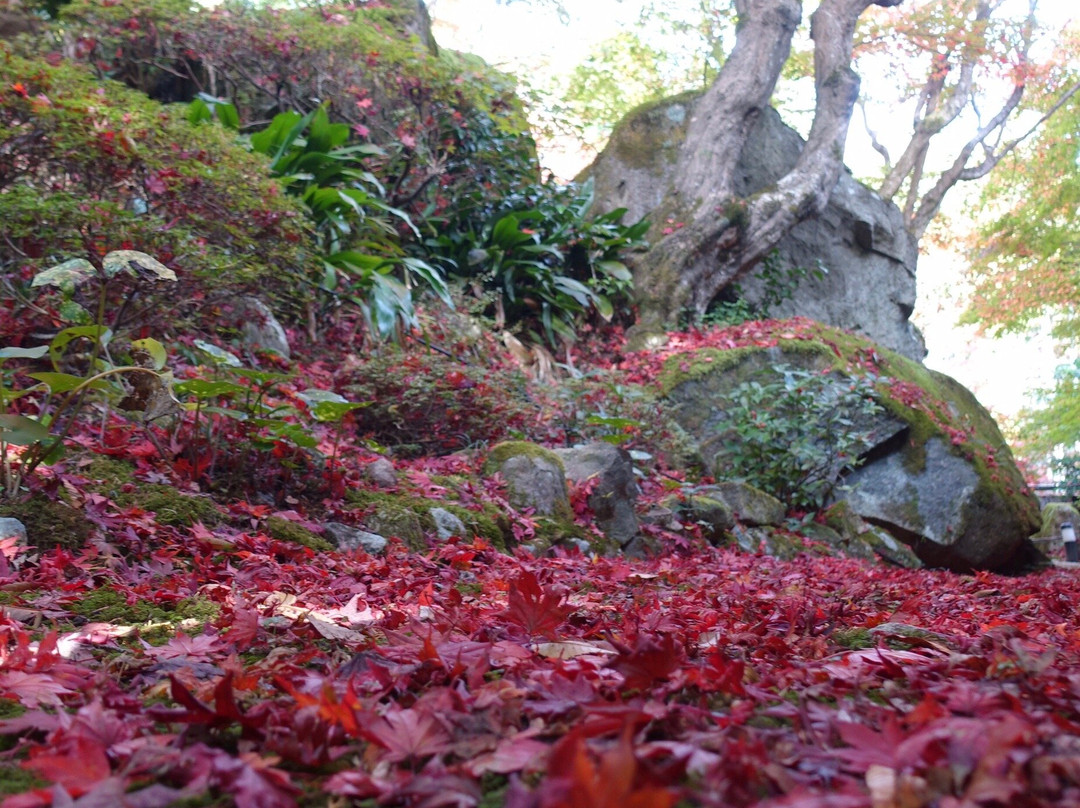 Kyorimbo Temple-近江八幡市必去景点