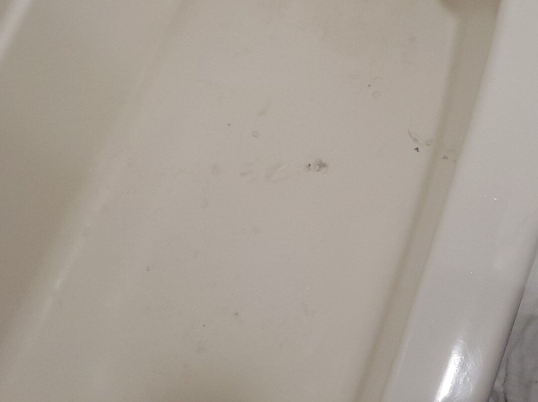 Super 8 by Wyndham Greenville主图