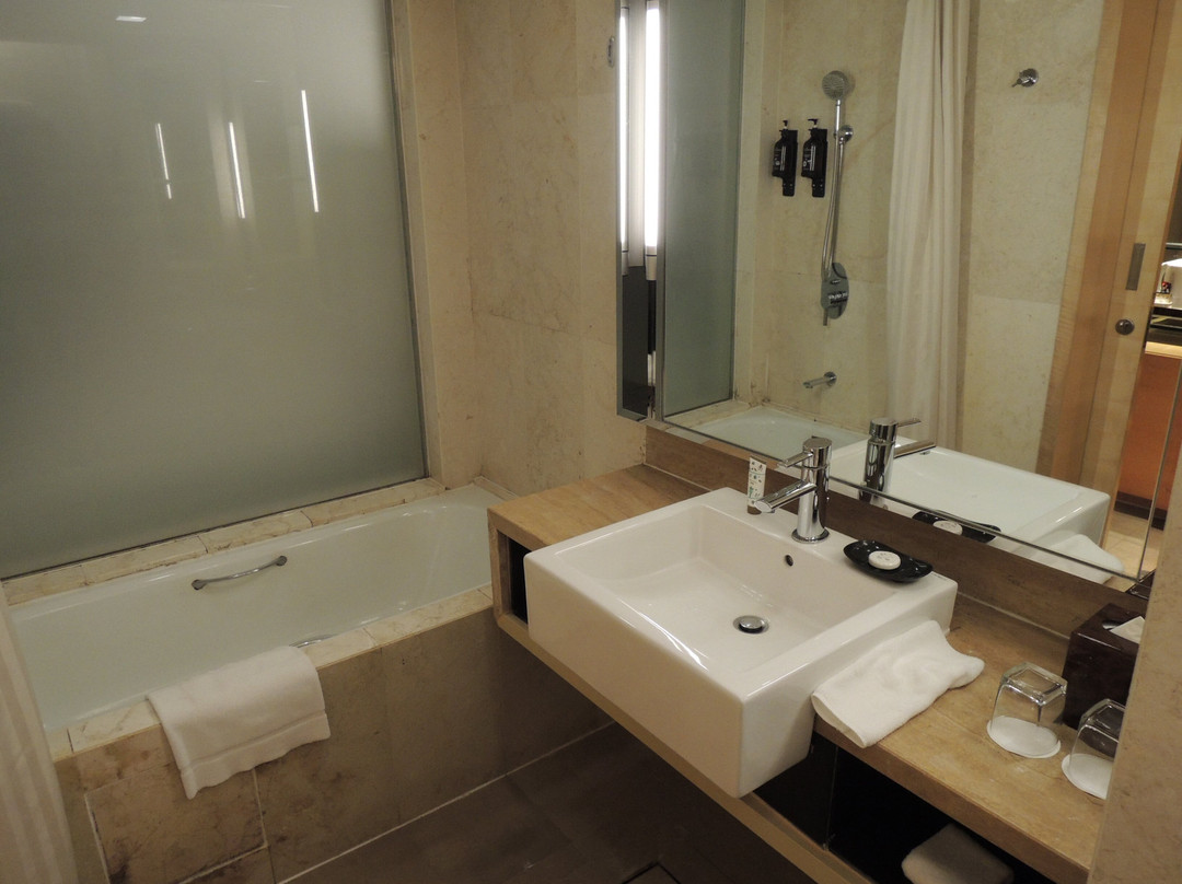 梳邦帝盛君豪酒店主图