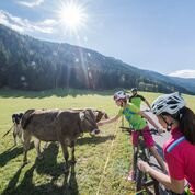 Hotel Chalet Olympia主图