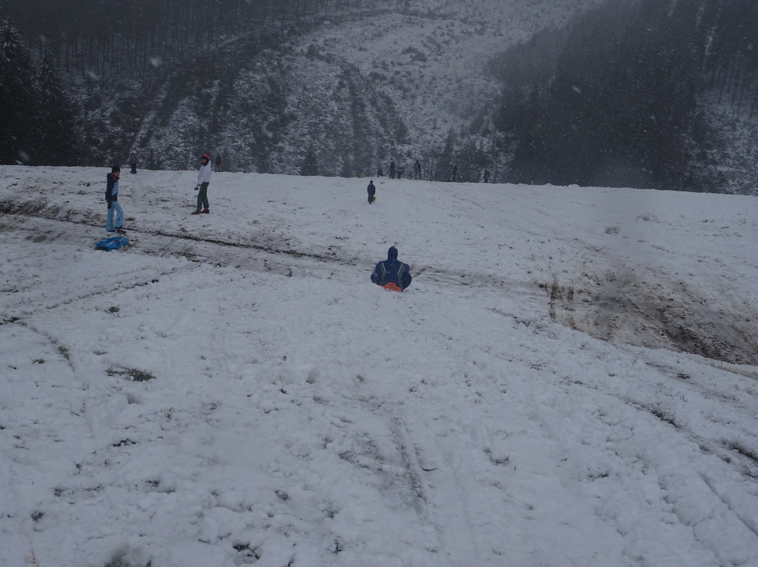 Ski alpin Ovifat景点图片