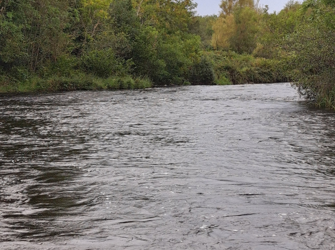 The Drowes Salmon Fishery景点图片