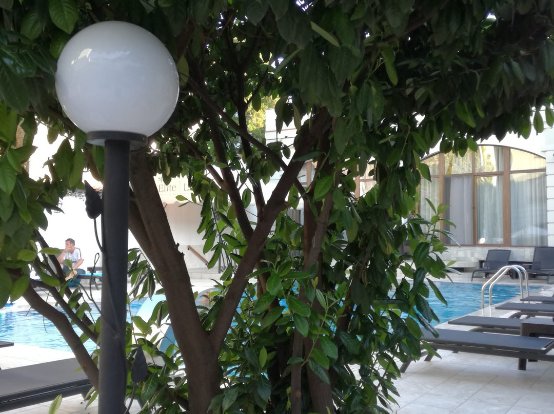 Elite Resort Hotel主图