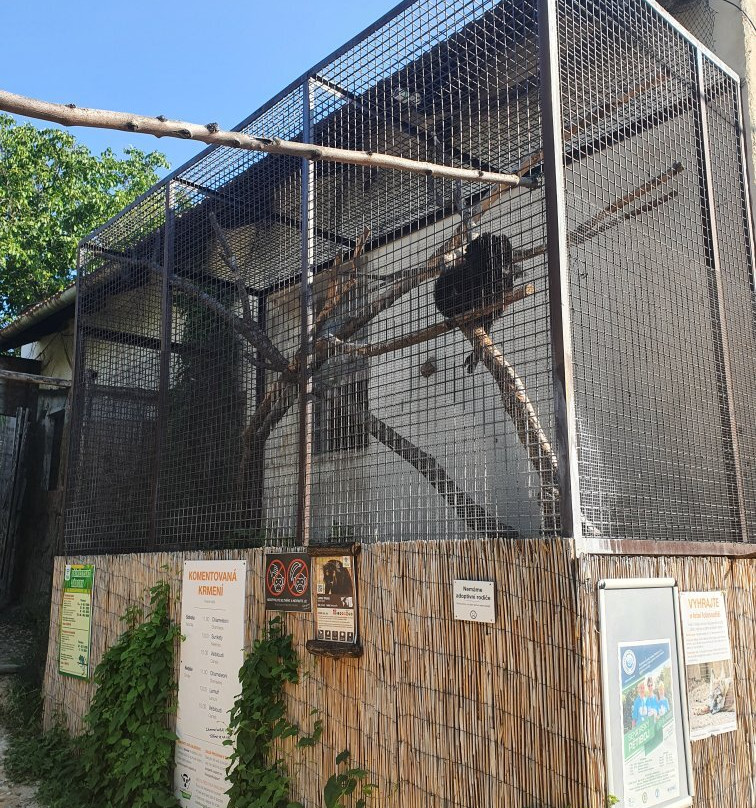 Zoopark Zajezd景点图片