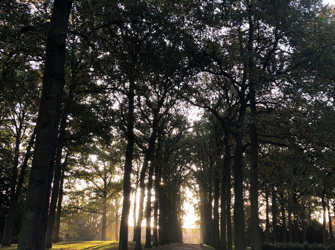Stadswandelpark-埃因霍温必去景点