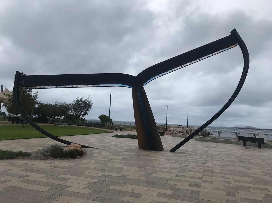 Esperance Whale Tail-埃斯佩兰斯必去景点