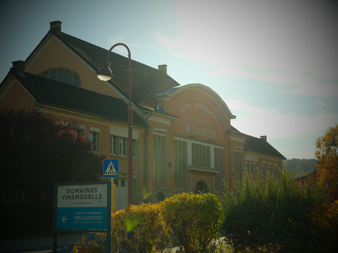 Domaines Vinsmoselle - Caves des Vignerons Grevenmacher-Grevenmacher必去景点
