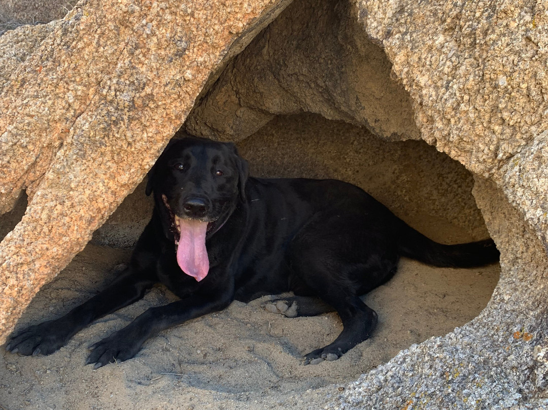Mobius Arch Loop Trailhead-隆派恩必去景点