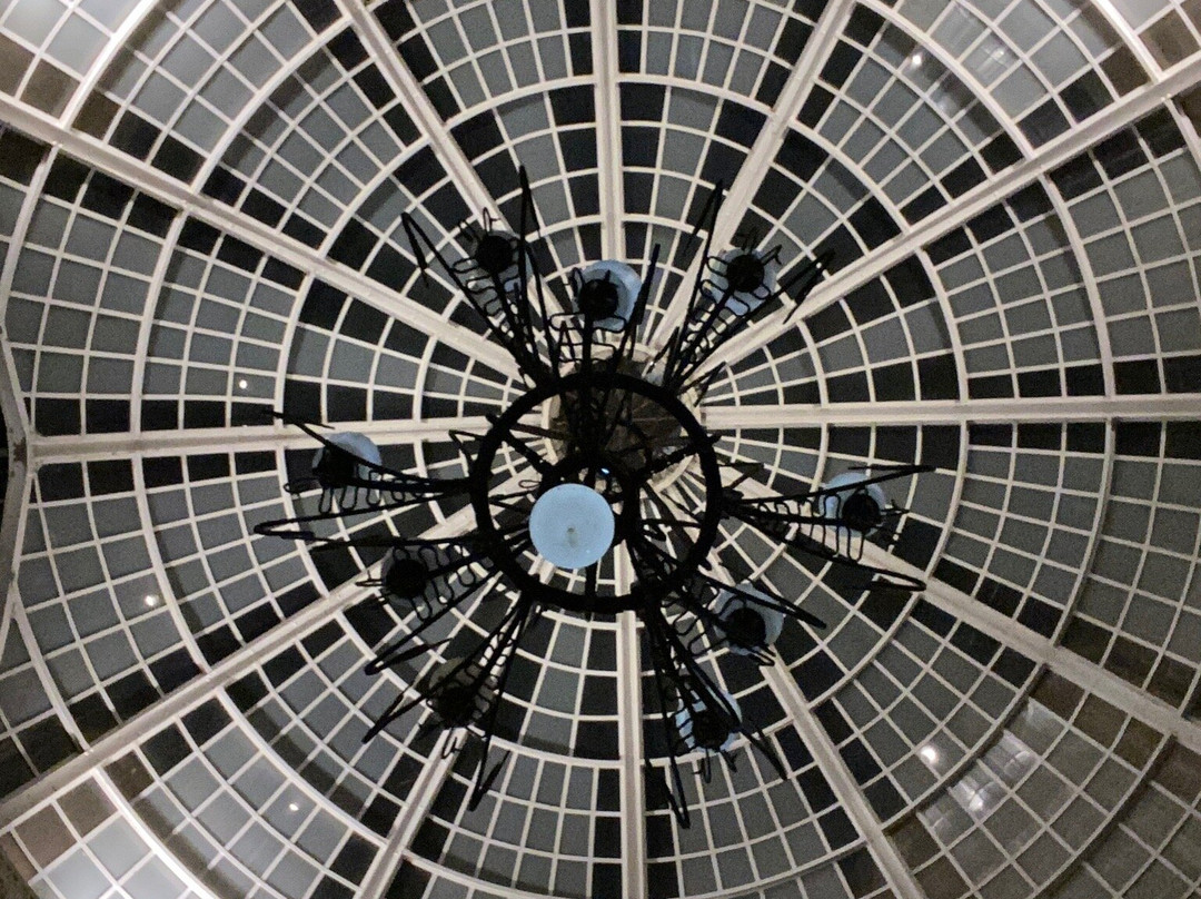 Black Hawk (Vulturul Negru) Palace Arcade景点图片