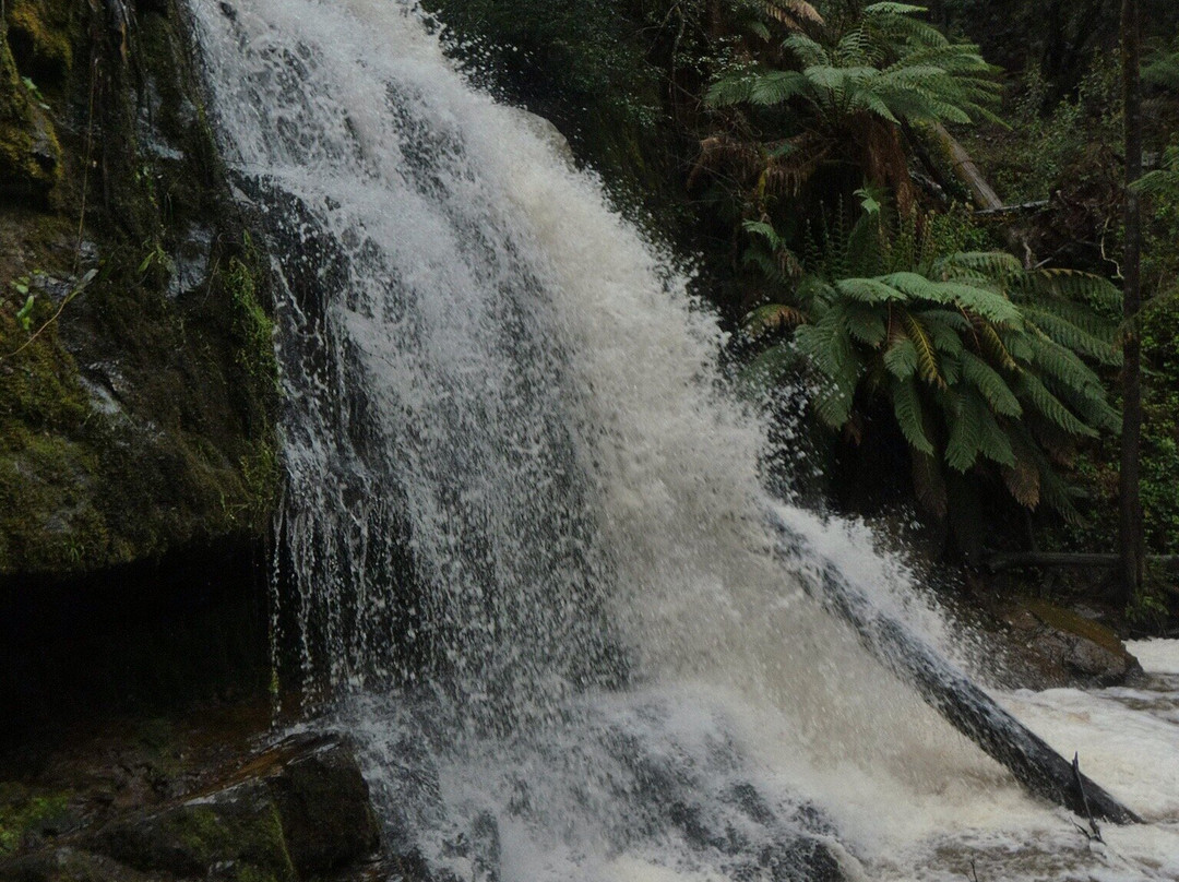 Lilydale Falls景点图片