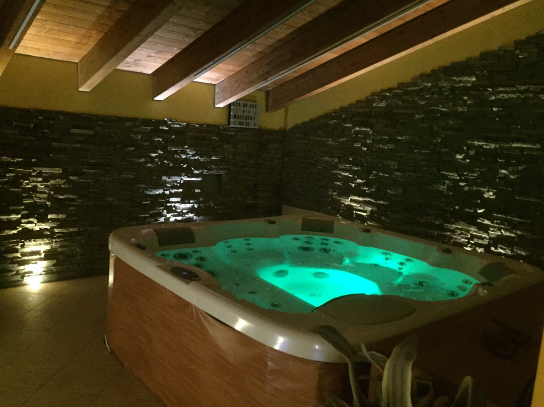 WPS Wellness and Private Spa景点图片
