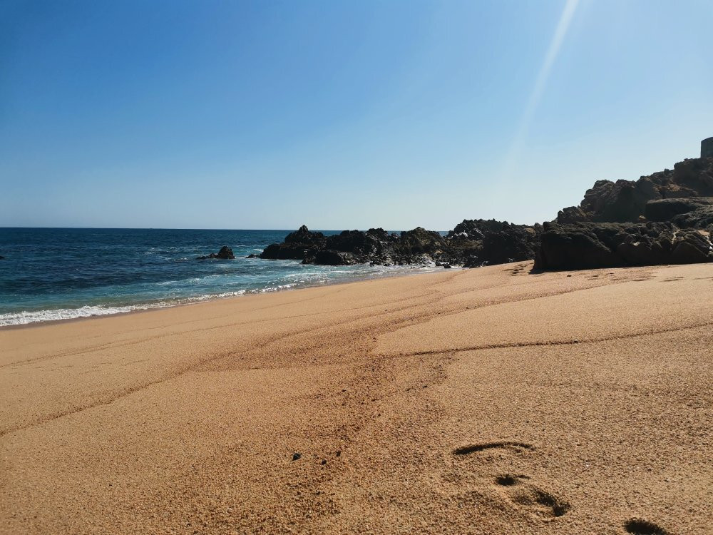 Playa Palmilla-圣何塞卡波必去景点