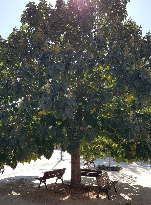 Erzincan Kemaliye Ocak Koyu Ali Gurer Muzesi-Kemaliye必去景点