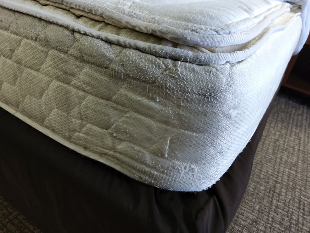 Comfort Suites主图