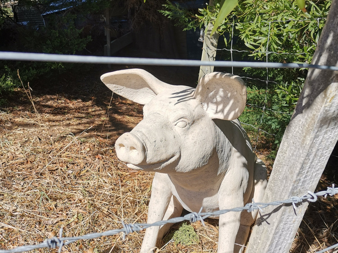 Children's Bay Rhino Walk-阿卡罗阿必去景点