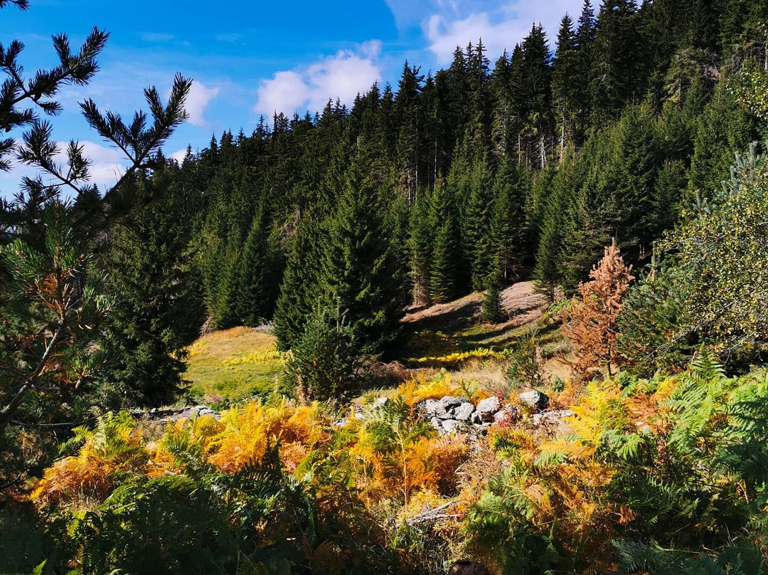 Magical Tours Bulgaria-索非亚必去景点