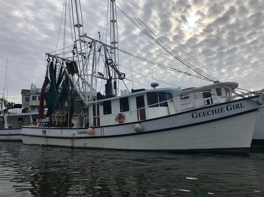 Coastal Expeditions-福利比奇必去景点