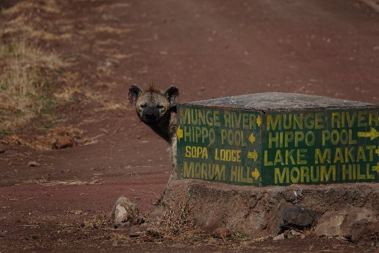 Arusha Fortes Limited-阿鲁沙必去景点