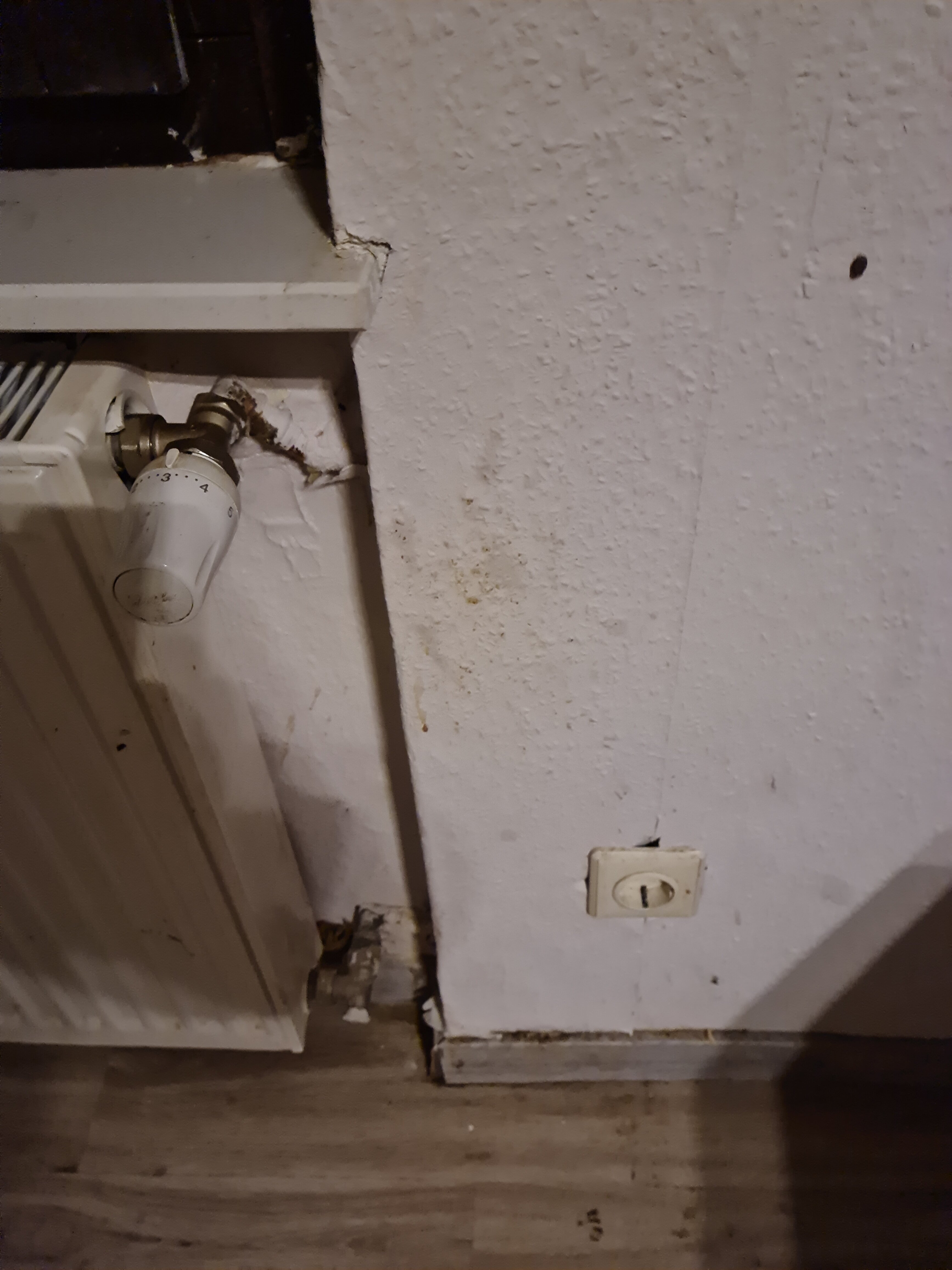 Landhotel Burkartsmuehle-酒店景观