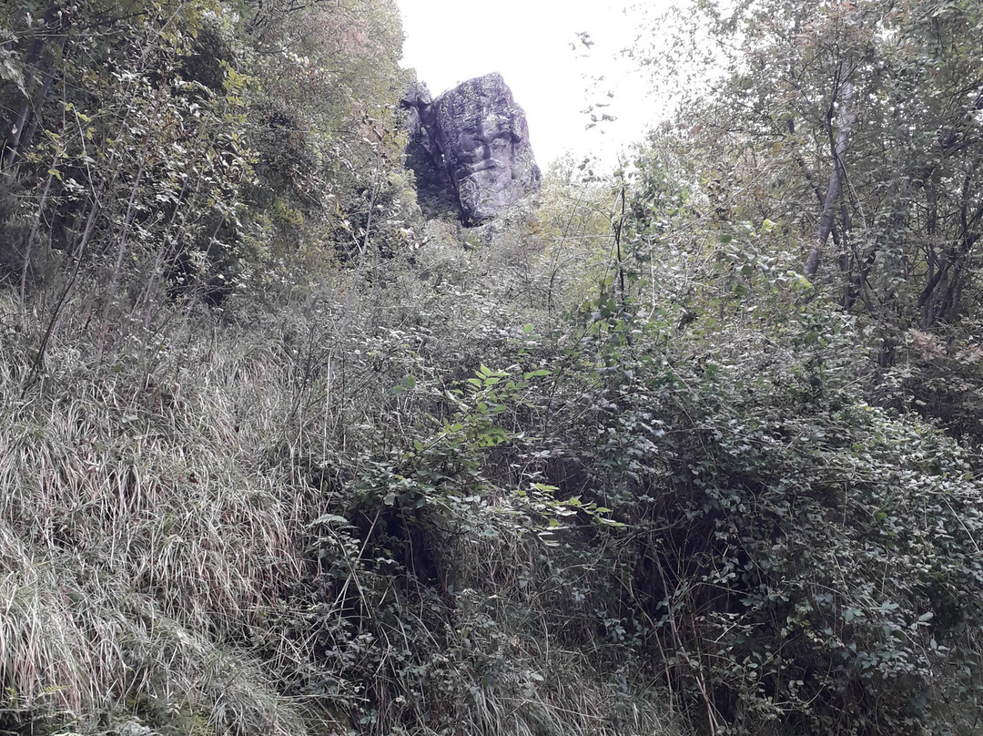 Volto Megalitico di Borzone-Borzonasca必去景点