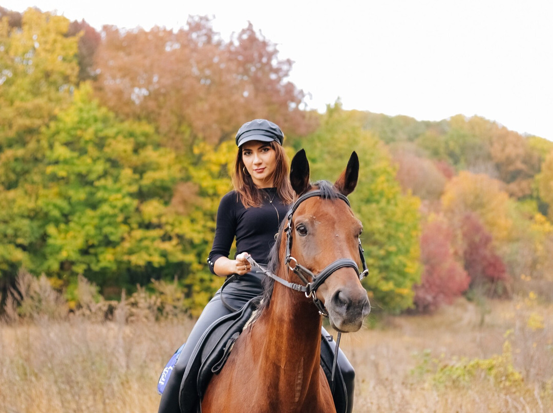 Cossack Horse Riding Club景点图片