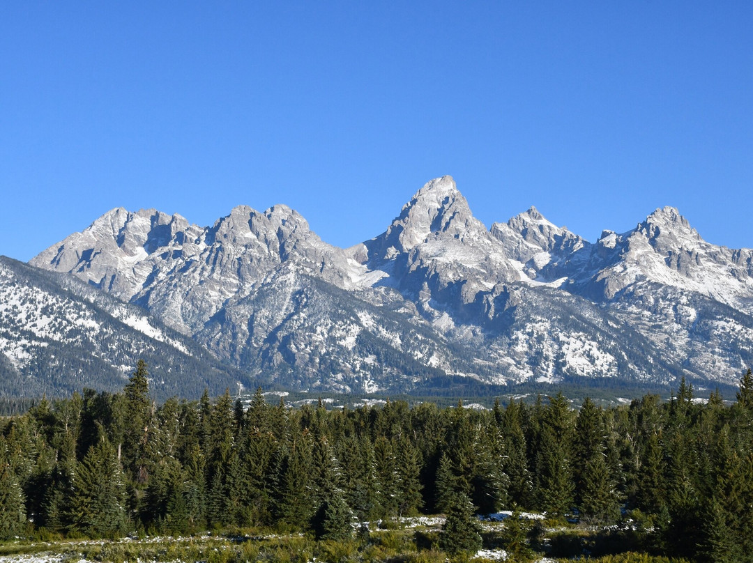 Blacktail Ponds Overlook景点图片